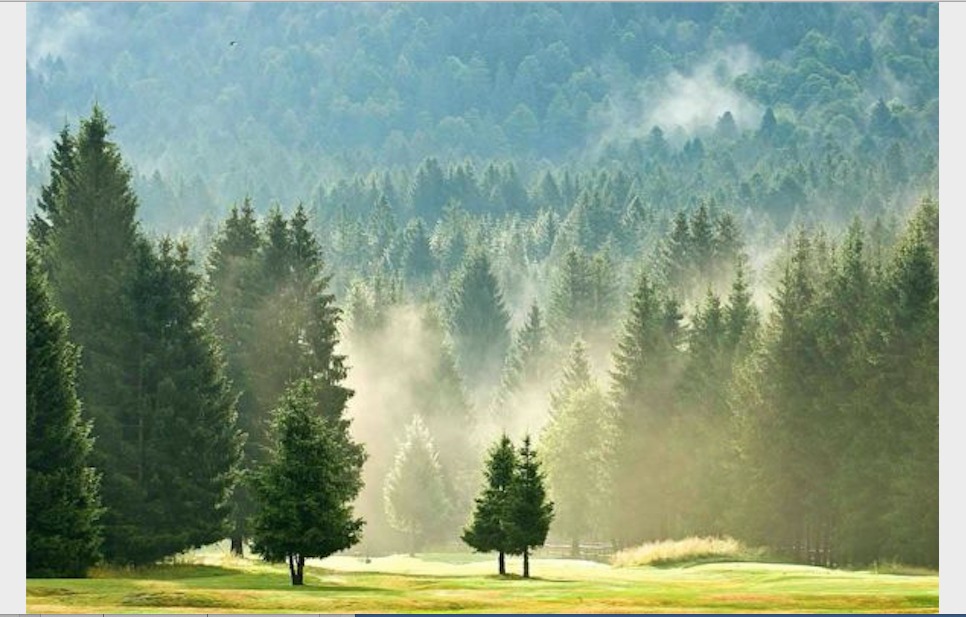 LA CO2 E IL LAVORO DELL’UOMO AIUTANO LA NATURA. QUESTA UE LA DANNEGGIA.