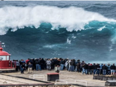 IL MARE E LO SGUARDO DI GIUSSANI